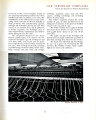 19510000 RALLI BROTHERS LIMITED 43